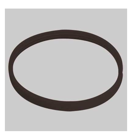 GUARNIZIONE SILICONATA - 250