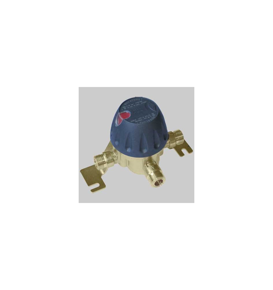 INVERSORE AUTOMATICO GPL - Kg 12