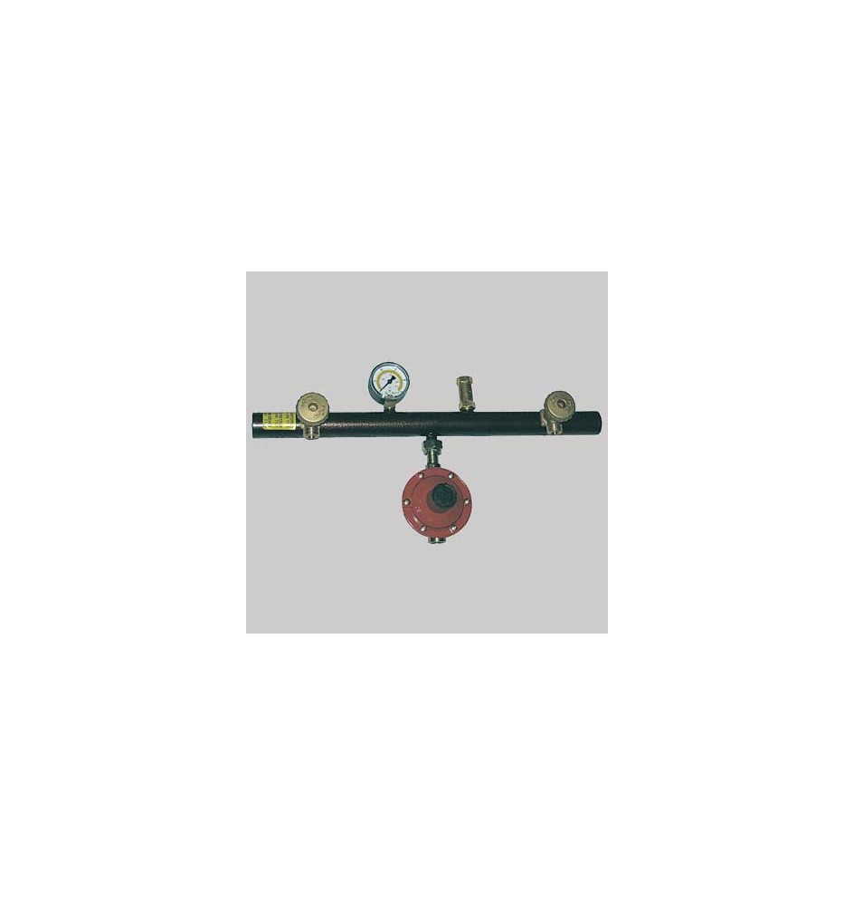 CENTRALINA 2 ATTACCHI COMPLETA DI REGOLATORE - 4 Kg/h