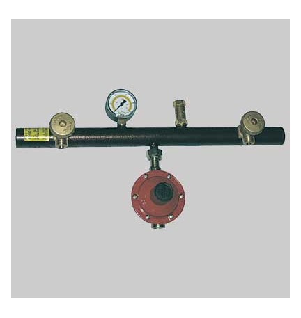 CENTRALINA 2 ATTACCHI COMPLETA DI REGOLATORE - 4 Kg/h