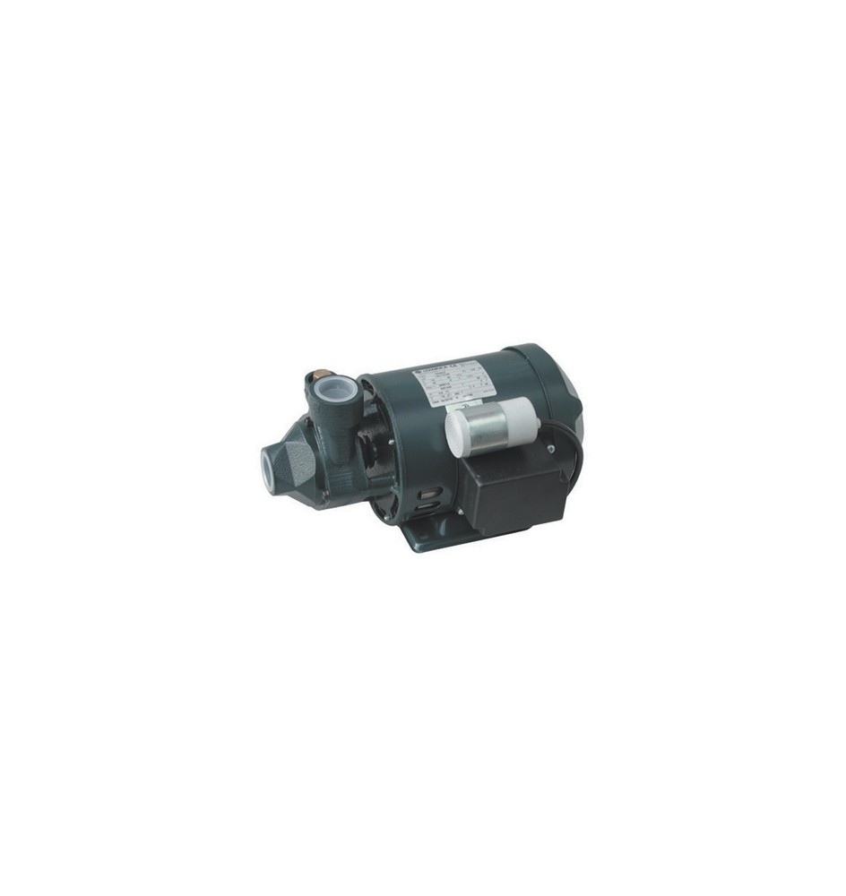 ELETTROPOMPA PERIFERICA LOWARA SERIE P Kw 0,60 Hp 0,80