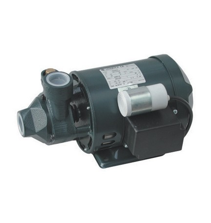 ELETTROPOMPA PERIFERICA LOWARA SERIE P Kw 0,60 Hp 0,80