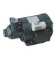 ELETTROPOMPA PERIFERICA LOWARA SERIE P Kw 0,60 Hp 0,80