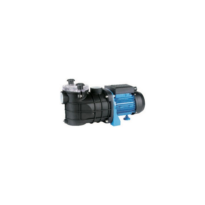 ELETTROPOMPA PER PISCINA kw 0,18