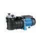 ELETTROPOMPA PER PISCINA kw 0,6