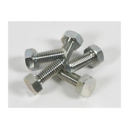 VITE FERMADISCO P/DECESPUGLIATORE 10X1,25SX MM