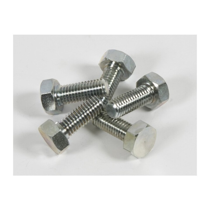 VITE FERMADISCO P/DECESPUGLIATORE 10X1,25SX MM