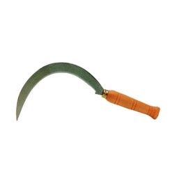 FALCIOLA DENTATA 2510 22,5 CM X 30 MM 7/0