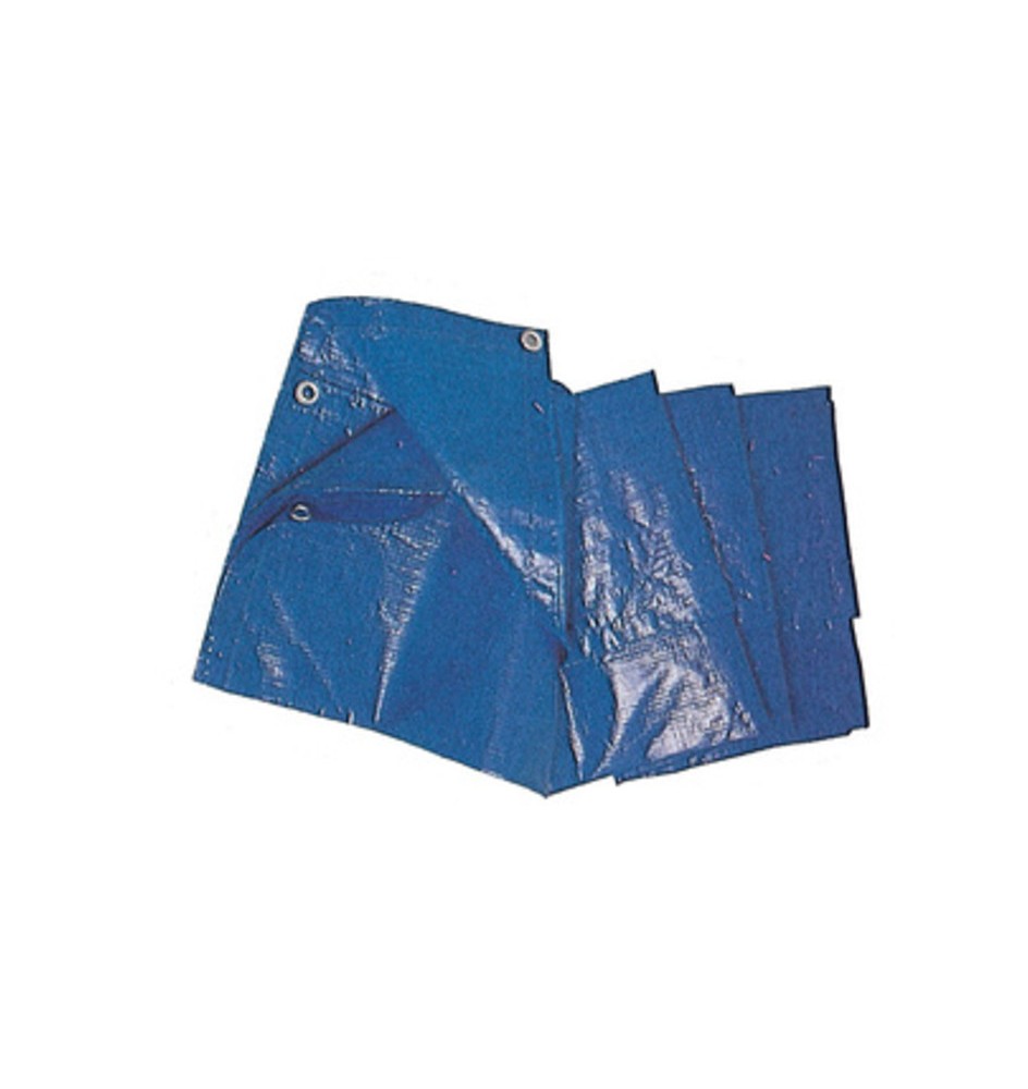 C TELO OCCHIELLATO PE BLU 4X 5M 85GR