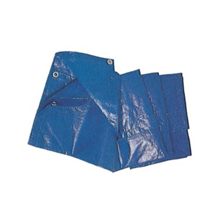 C TELO OCCHIELLATO PE BLU 4X 5M 85GR