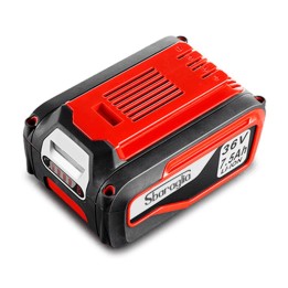BATTERIA 36V 7,5 Ah SBARAGLIA