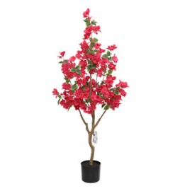 C BOUGANVILLEA 120 CM