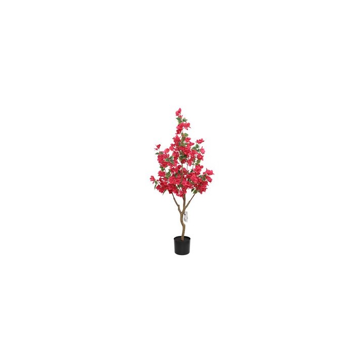 C BOUGANVILLEA 120 CM