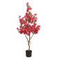 C BOUGANVILLEA 120 CM