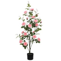 C ROSA 130 CM
