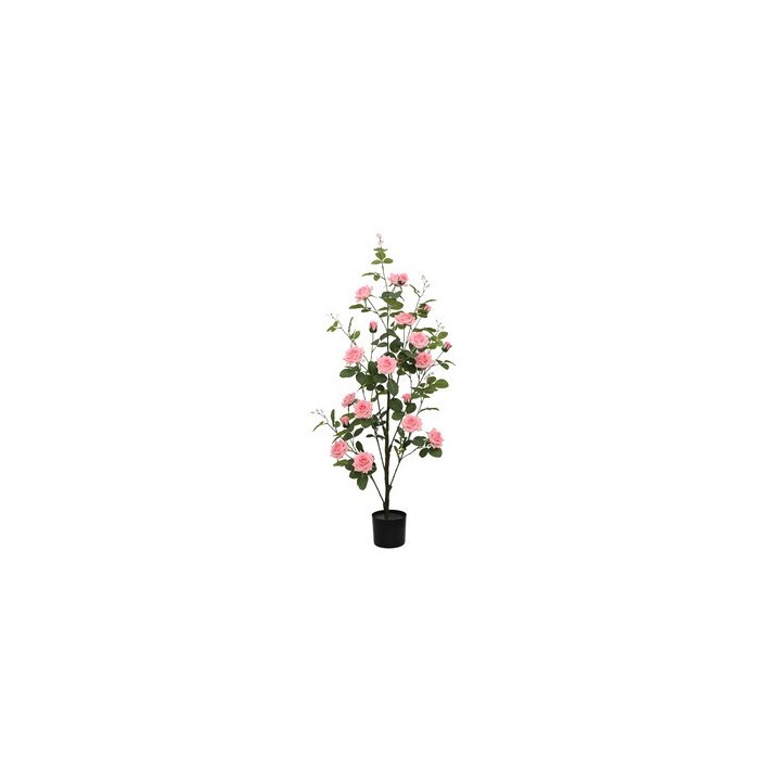 C ROSA 130 CM