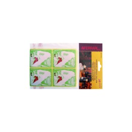 ETICHETTE ADESIVE P/VINO CF 100 PZ