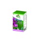 FITO CONCIME GOCCIA A GOCCIA ORCHIDEE 6X32 ML