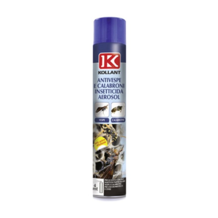 INSETTICIDA ANTIVESPE E CALABRONI AEROSOL 750 ML