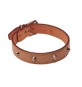COLLARE P/CANI CUOIO BORCHIATO 35 X 610 MM