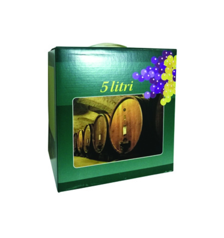 SCATOLA P/SACCA BAG 5 L COLORATO E MANICO