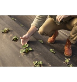 C TELO PACCIAMATURA PP H 1,65X 10M