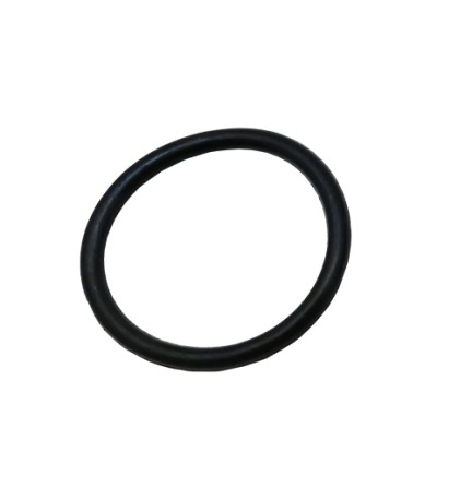 GUARNIZIONE RESISTENZA PER SCALDABAGNO ATON A VITE -