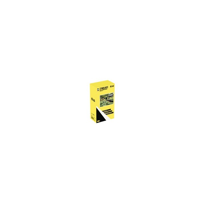 C STIMOLANTE P/COMPOSTAGGIO 1 KG