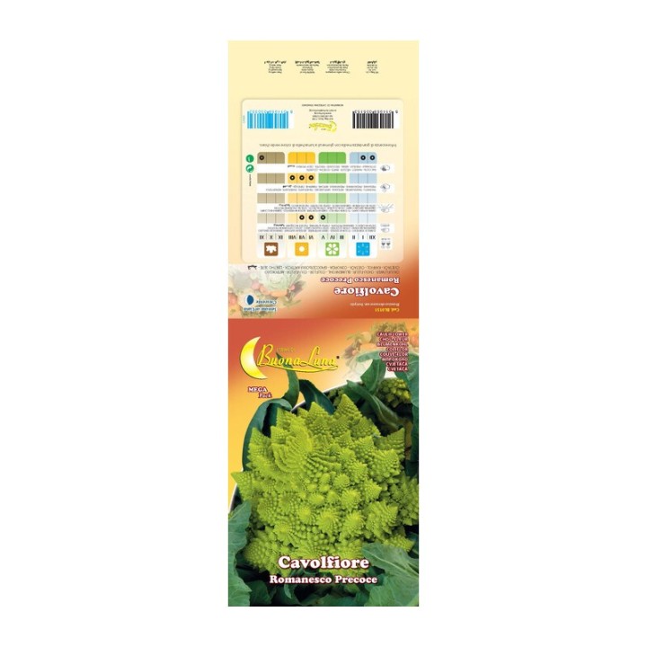 SEMI ORTO CAVOLFIORE ROMANESCO