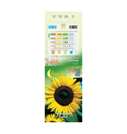 SEMI GARDEN GIRASOLE GIGANTE