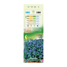 SEMI GARDEN MYOSOTIS
