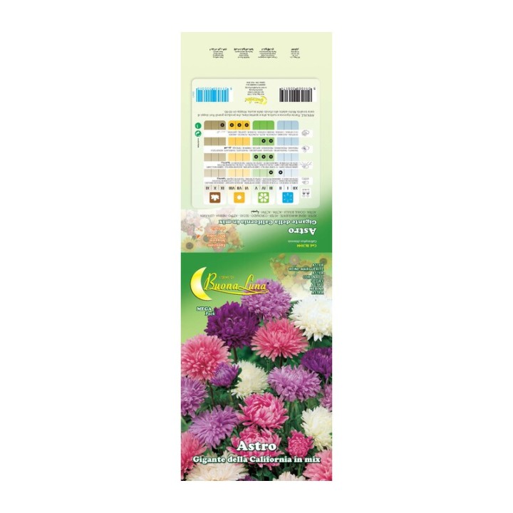 SEMI GARDEN ASTRO DELLA CINA