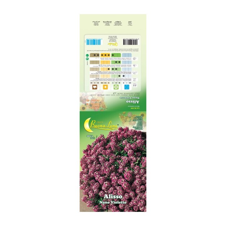 SEMI GARDEN ALISSO VIOLETTO NANO