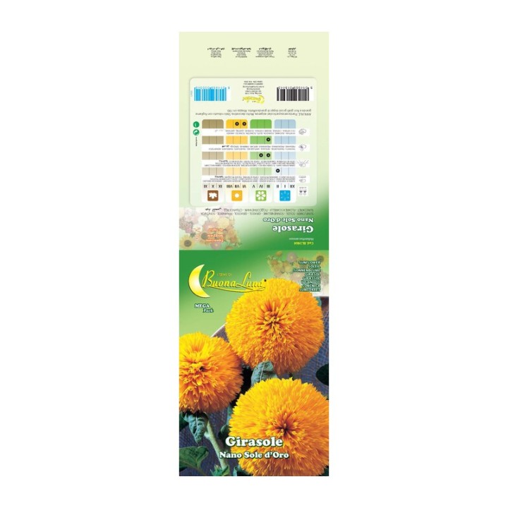 SEMI GARDEN GIRASOLE BAMBINO NANO