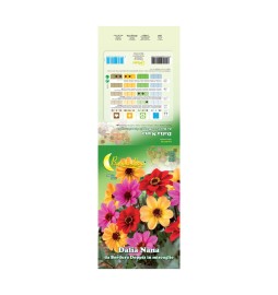 SEMI GARDEN DALIA SEMPLICE