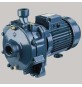 ELETTROPOMPA CENTRIFUGA BIGIRANTE IN GHISA - CDA/B 1,50 M
