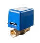 VALVOLA DI ZONA SERIE SF A 2 VIE CON MICRO AUSILIARIO 1" Gas F.