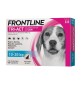 FRONTLINE TRI-ACT CANI 10-20 KG 3 PIPETTE