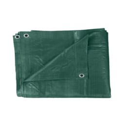 TELONE PE PESANTE C/OCCHIOLI 110 G VERDE 6 X 10 M