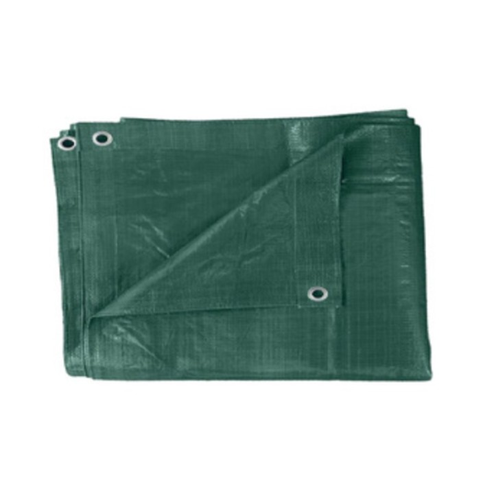 TELONE PE PESANTE C/OCCHIOLI 110 G VERDE 6 X 10 M