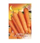 SEMI ORTO CAROTA DI CHIOGGIA