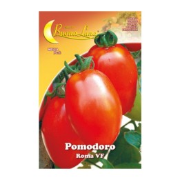 SEMI ORTO POMODORO ROMA