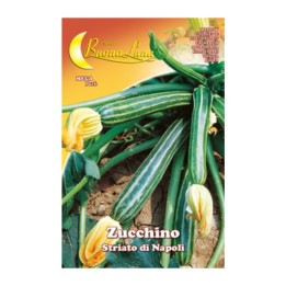 SEMI ORTO ZUCCHINO STRIATO NAPOLI