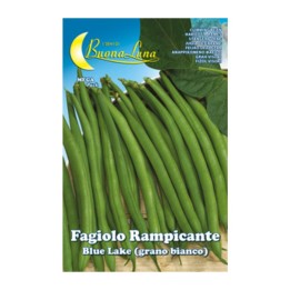 SEMI ORTO FAGIOLI RAMPICANTI BIANCHI