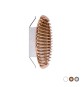 GRIGLIA TONDA IN MATERIALE TERMOPLASTICO CON MOLLE RECLINABILI A 90° Ramata Imb. 160-200 - D. 220