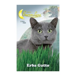 SEMI ORTO ERBA GATTO
