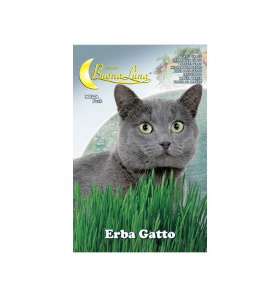SEMI ORTO ERBA GATTO