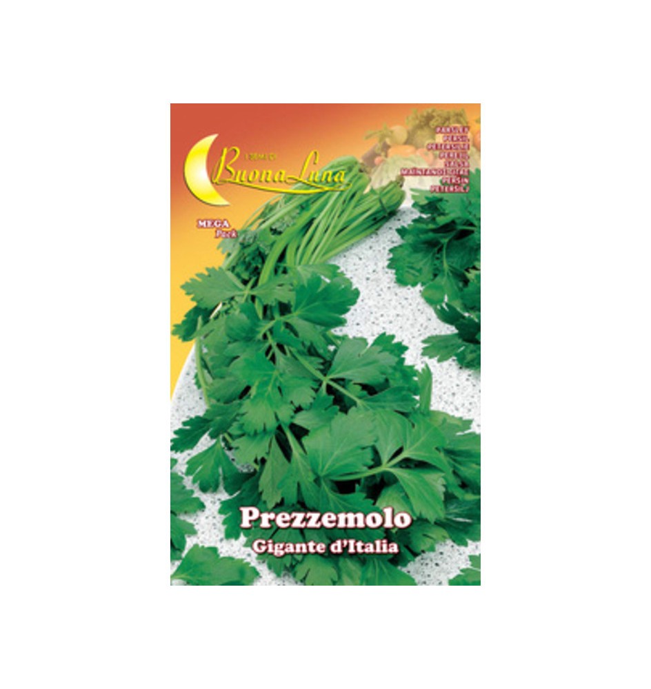 SEMI ORTO PREZZEMOLO GIGANTE
