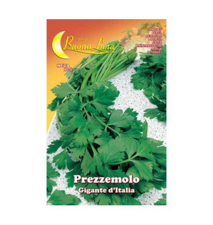SEMI ORTO PREZZEMOLO GIGANTE