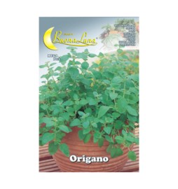 SEMI ORTO ORIGANO